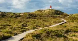 Amrum